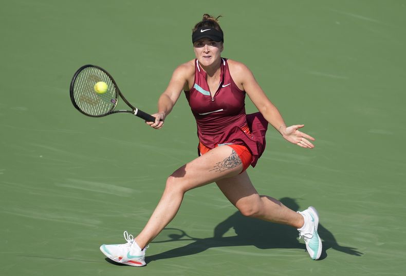 DEP-TEN UCRANIA-SVITOLINA