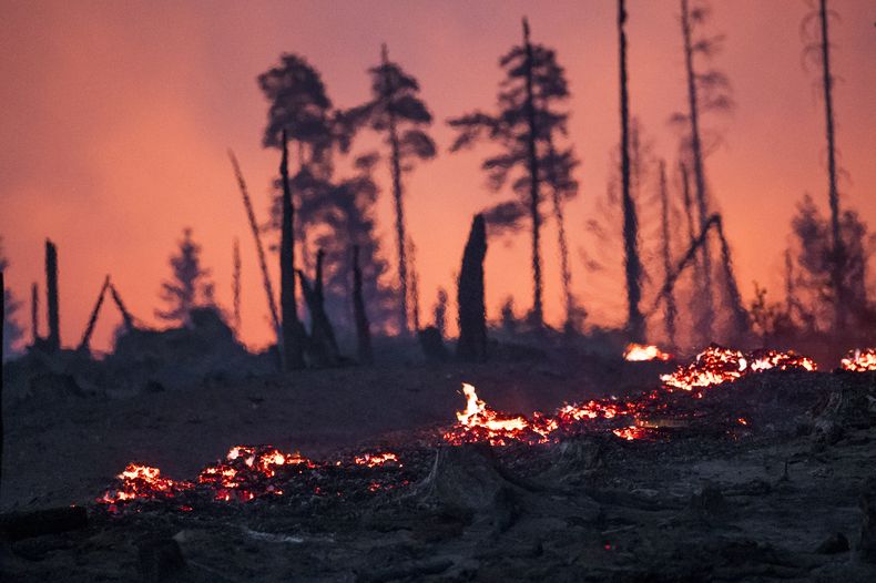 El incendio forestal en Saalfelder Höhe, en Reichmannsdorf, Alemania, el 2 de julio del 2025. (Daniel Vogl/dpa via AP)
