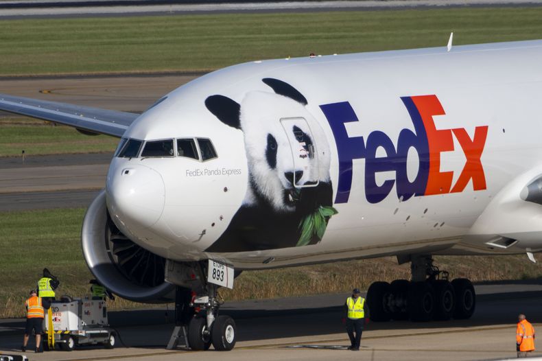 Trabajadores caminan hacia un avión de carga de FedEx que lleva pandas gigantes a bordo de China tras aterrizar en el Aeropuerto Internacional Dulles, en Sterling, Virginia, el martes 15 de octubre de 2024. (AP Foto/Kevin Wolf)