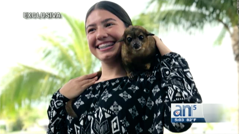 Screen Shot 2018-04-25 at 8.07.32 PM.png