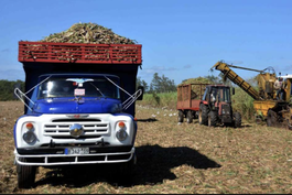 Díaz Canel reconoce estado crítico de la industria azucarera en Cuba