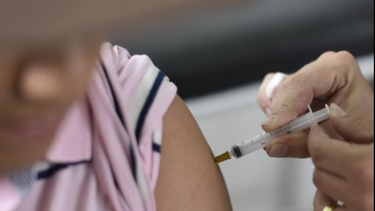 el peor brote de fiebre amarilla en decadas deja 40 muertos y tiene en alarma a brasil