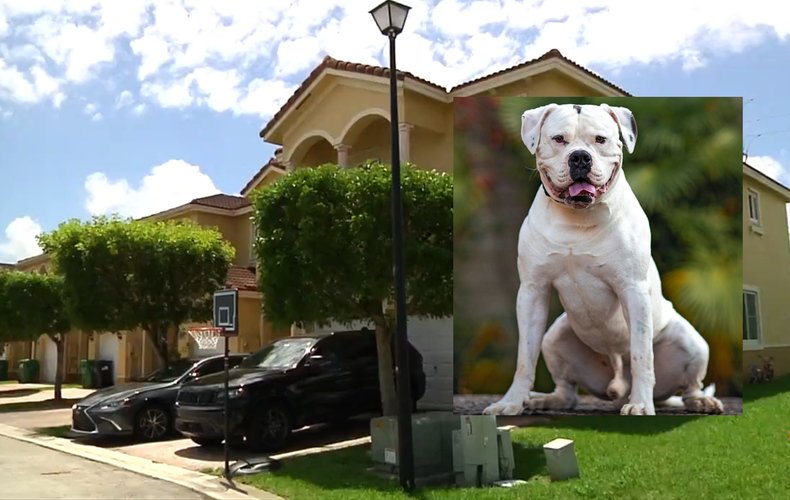 Screen Shot 2022-05-23 at 7.03.00 PM.png