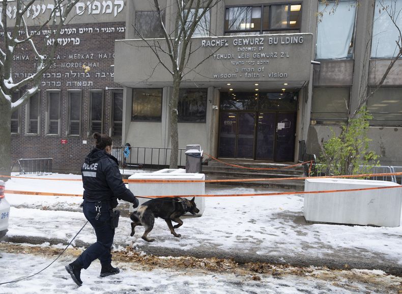 Agentes de policía buscan pistas en la escuela Yeshiva Gedolah tras reportes de disparos contra dos escuelas judías, el jueves 9 de noviembre de 2023 en Montreal. (Ryan Remiorz/The Canadian Press vía AP)