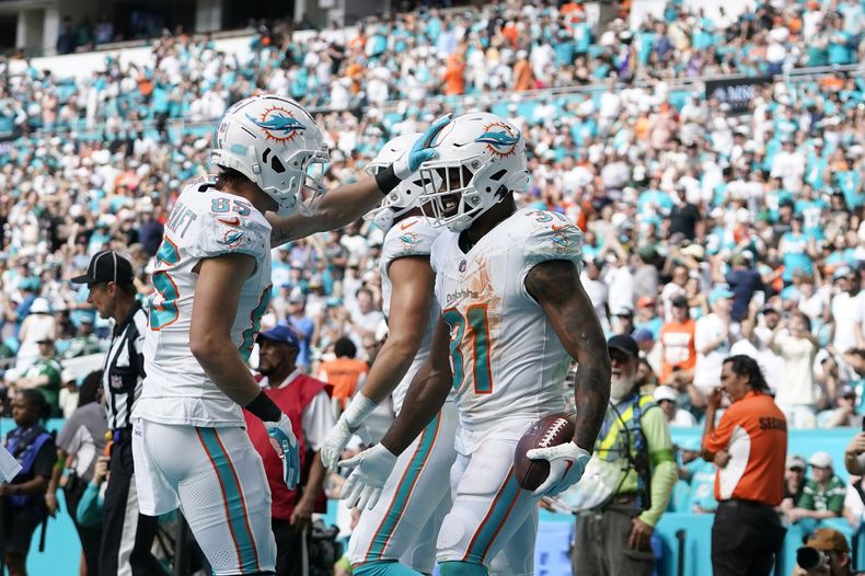 El running back de los Dolphins de Miami Raheem Mostert (31) es felicitado por el wide receiver River Cracraft (85) luego que Mostert anotó un touchdown ante los Jets de Nueva York, el domingo 17 de diciembre de 2023, en Miami Gardens, Florida. (AP Foto/Lynne Sladky)