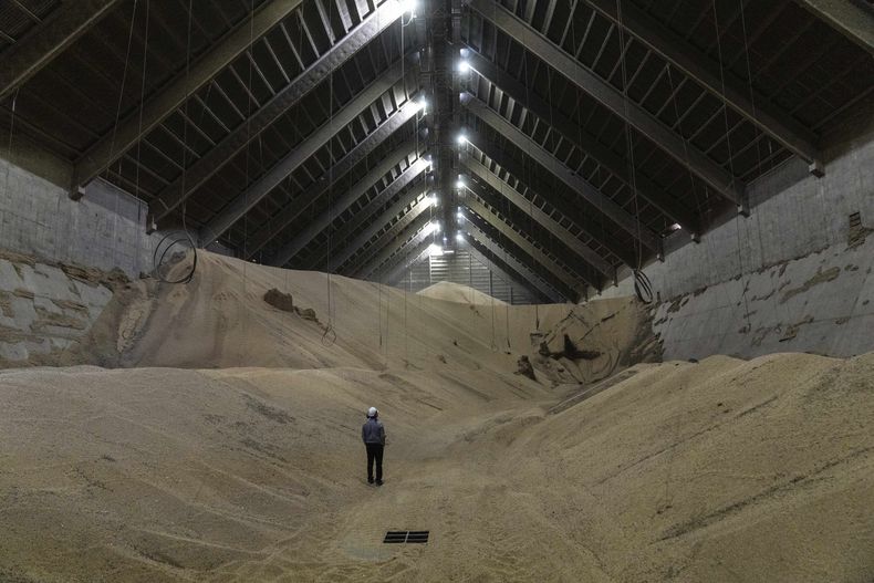 Un trabajador se encuentra en un depósito de soja en el complejo agroindustrial Molinos Agro, a orillas del río Paraná, en San Lorenzo, Argentina, el martes 3 de diciembre de 2024. (AP foto/Rodrigo Abd)