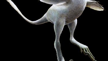 Nuevo dinosaurio: mezcla de pato, cocodrilo, avestruz, cisne