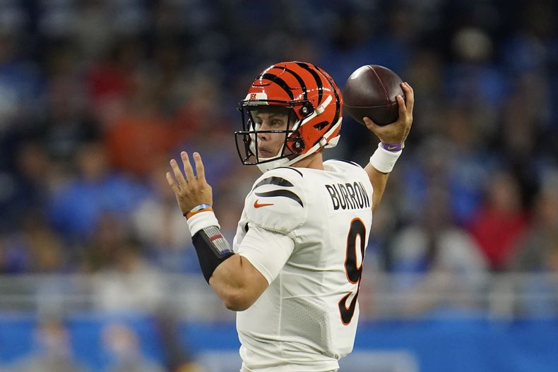 DEP-NFL BENGALS-LIONS