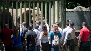 Autoridades federales llegan a un acuerdo con el gobierno de Puerto Rico sobre el Zoológico de Mayagüez
