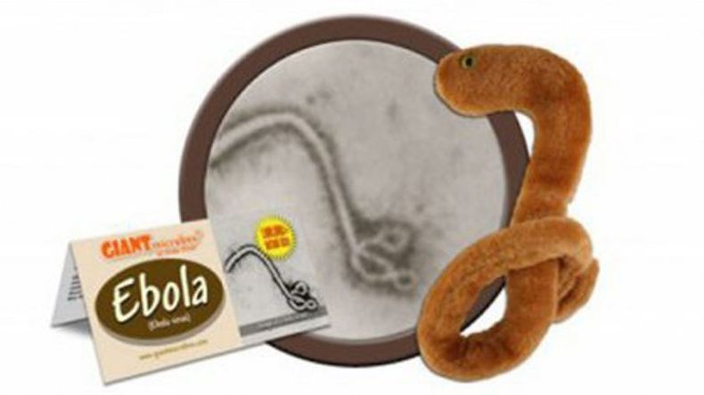 Una empresa estadounidense vende muñecos educativos con forma de microbio. Sin embargo, la demanda superó todas las expectativas. Se vendieron más de 10 millones de ejemplares