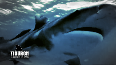 tiburon: el dueno de los mares