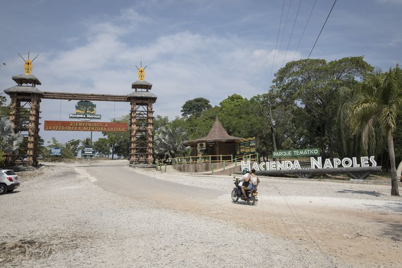 AMS-GEN COLOMBIA-HACIENDA NÁPOLES FELINO