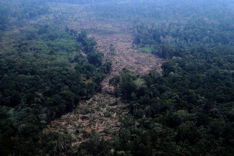 Una zona deforestada de la selva amazónica en Autazes, estado de Amazonas, Brasil, el 15 de octubre del 2026. (AP foto/Edmar Barros)