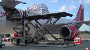 toneladas de flores llegan a miami para el dia de las madres