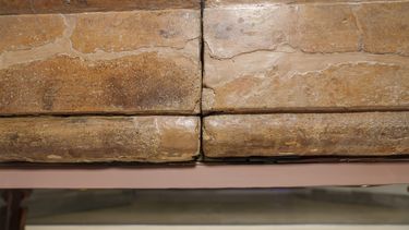 Italia: Terracota de 2.500 años recibe amor en San Valentín