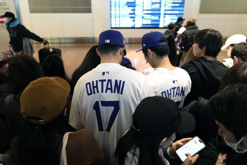 Fanáticos de Shohei Ohtani, astro de los Dodgers de Los Ángeles, aguardan el arribo del equipo en el aeropuerto internacional de Tokio, el jueves 13 de marzo de 2025. (AP Foto/Hiro Komae)