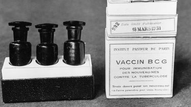 ¿Podrían vacunas viejas ayudar a proteger contra COVID-19?