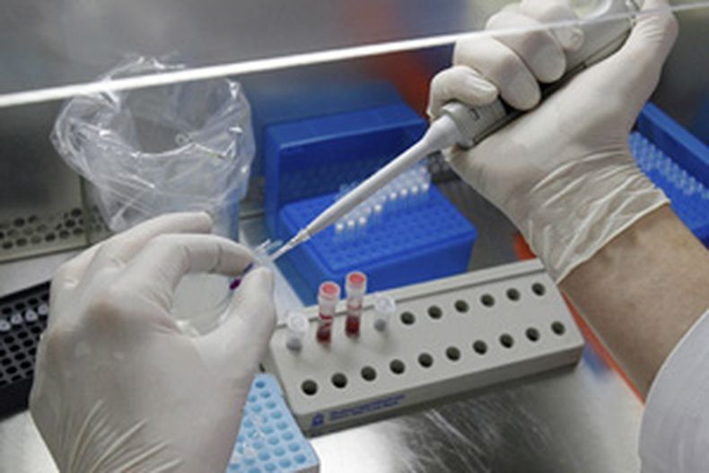 Actualmente el medicamento se encuentra en ensayo clínico.