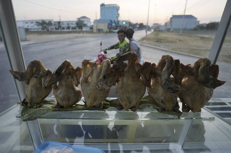 Una tienda vende pollos en Nom Pen, Camboya, el 12 de febrero de 2024.. (AP foto/Heng Sinith)