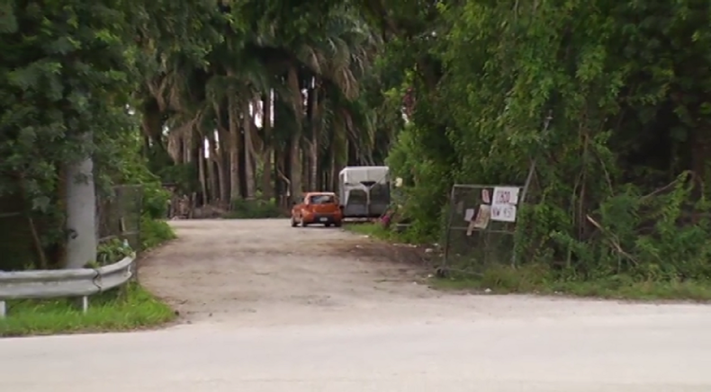 matadero ilegal doral.png