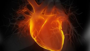 alimentos para mantener un corazon sano