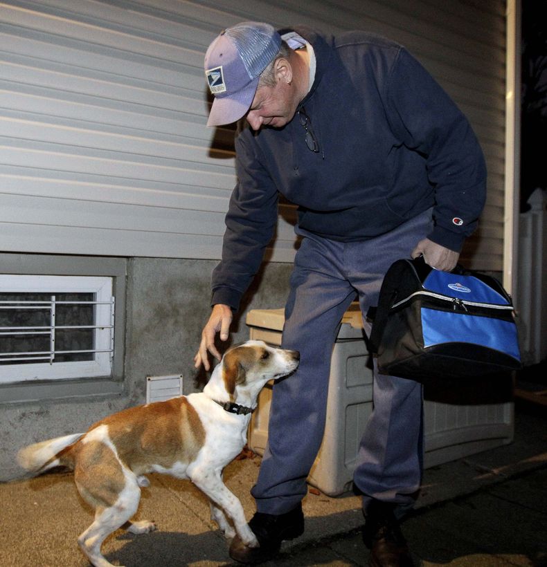 En esta fotograf&iacute;a del 28 de octubre de 2011, Daniel, a la izquierda, mejor conocido como el "Perro Milagroso", juega con Mark Pavlik en Rochelle Park, Nueva Jersey, donde estaba siendo atendido a su llegada al estado. Daniel, de raza bea