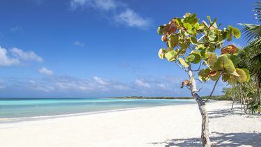 melia abrira en cuba su hotel mas grande en el mundo