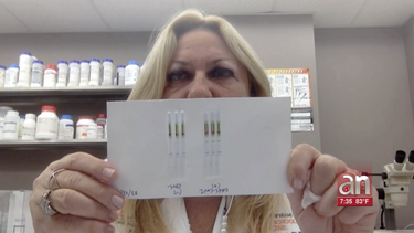 crean en la universidad de miami test para el coronavirus que da los resultados en solo 30 minutos
