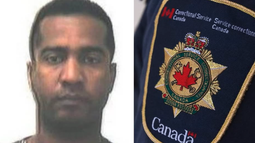 canada declara delincuente peligroso a inmigrante cubano con antecedentes de proxenetismo en cuba