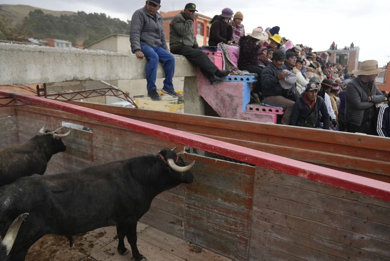 AMS-GEN BOLIVIA-FIESTA TAURINA