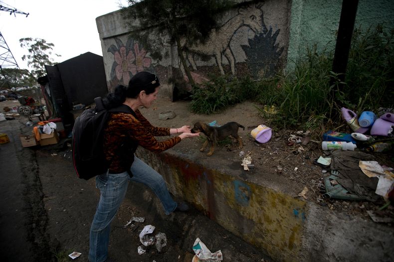 REP-GEN_VENEZUELA-MASCOTAS_CRISIS-1.jpg