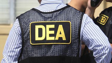ARCHIVO - Agentes de la Administración de Control de Drogas de Estados Unidos (DEA, por sus siglas en inglés) durante un operativo el 13 de junio de 2016, en Florida. (Joe Burbank/Orlando Sentinel vía AP, Archivo)