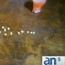 Drogas en Cuba
