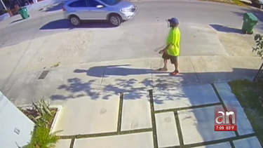 buscan a un hombre que ataca a ancianos en el area de allapattah