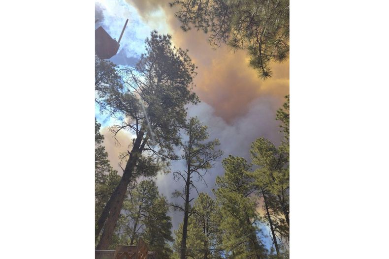 El humo de un incendio se eleva por encima de los árboles en Ruidoso, Nuevo México, el lunes 17 de junio de 2024. (Jacquie Escajeda vía AP)