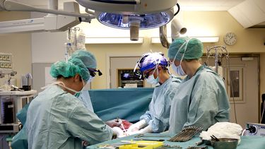 americateve | Foto del 4 de abril del 2012 difundida por la Universidad de Goteburgo, en Suecia, de un trasplante de &uacute;tero en el Hospital Sahlgrenska de Goteburgo. (Foto AP/Universidad de Goteburgo, Johan Wingborg)