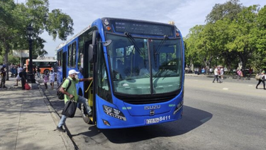 tres semanas despues de llegar a cuba, los omnibus japoneses recorren la habana