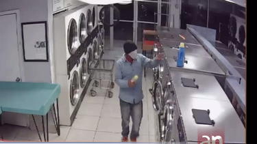 ladrones roban dinero y ropa de una lavanderia de miami