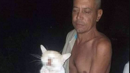 como en los anos 90´s, denuncian la venta de carne de gato en guantanamo, cuba