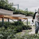 Los legisladores de Nueva York acordaron legalizar el uso recreativo de la marihuana