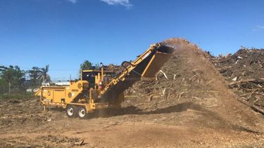 iniciativa de reciclaje en catano convierte material vegetativo en viruta