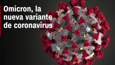 lo que sabemos sobre omicron, la nueva variante de coronavirus descubierta en sudafrica