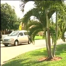 Vecinos de zona de Miami en pie de guerra contra el Condado