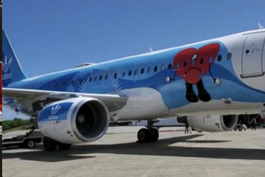 Avión con imagen de Bad Bunny vuela a Cuba desde Miami