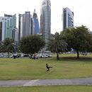 AP Explica: El deporte en Qatar, sede del Mundial de fútbol