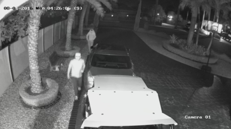 ladrones polaris.png