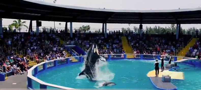 Screen Shot 2022-03-04 at 7.13.32 PM.png