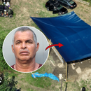 Arrestan a un cubano tras hallar miles de gallos de pelea en una finca de MIAMI