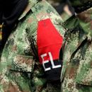 ELN suspende de manera temporal un paro armado en el oeste de Colombia, según Defensoría