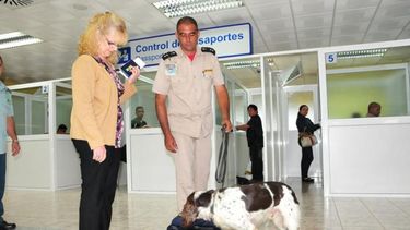 americateve | Hallan cocaína en el equipaje de un viajero procedente de Suramérica.